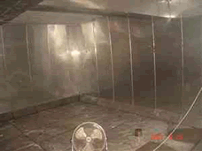 P䓃rˮ2