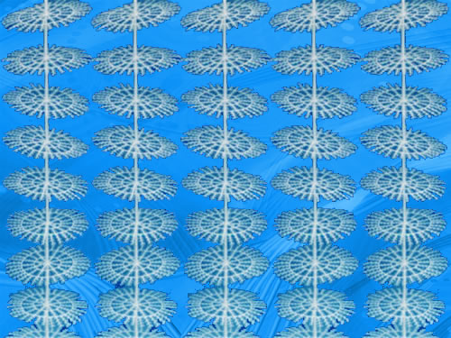 ܛ